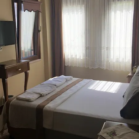 Hayriye Hanim Ege 2* Ayvalı
