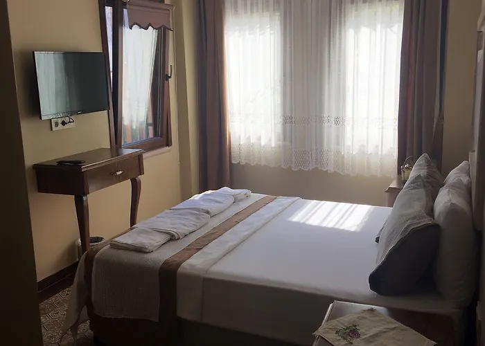 Hayriye Hanim Ege Hotel