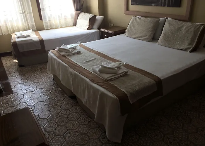 Hayriye Hanim Ege Hotel