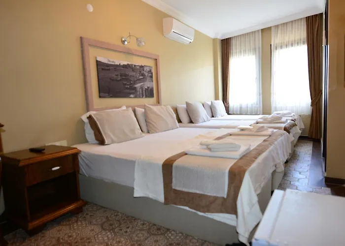 Hayriye Hanim Ege Hotel 2*