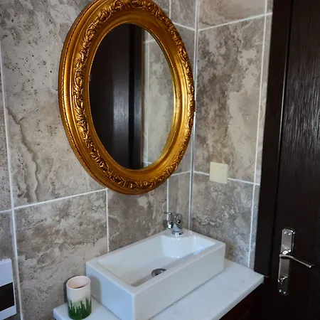 Hayriye Hanim Ege 2*