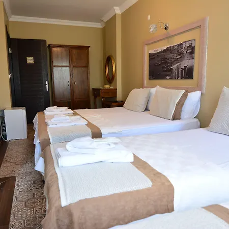 호텔 Hayriye Hanim Ege Ayvalı