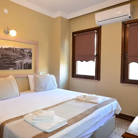 Hayriye Hanim Ege 2*