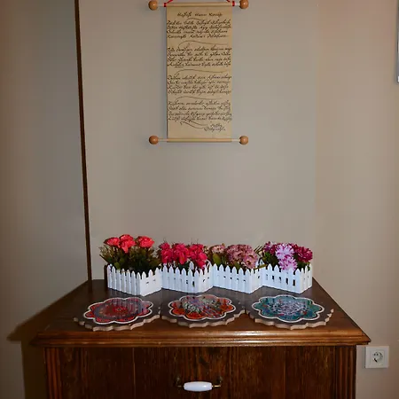 Hayriye Hanim Ege Ayvalı