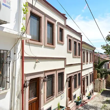 Hayriye Hanim Ege 2*