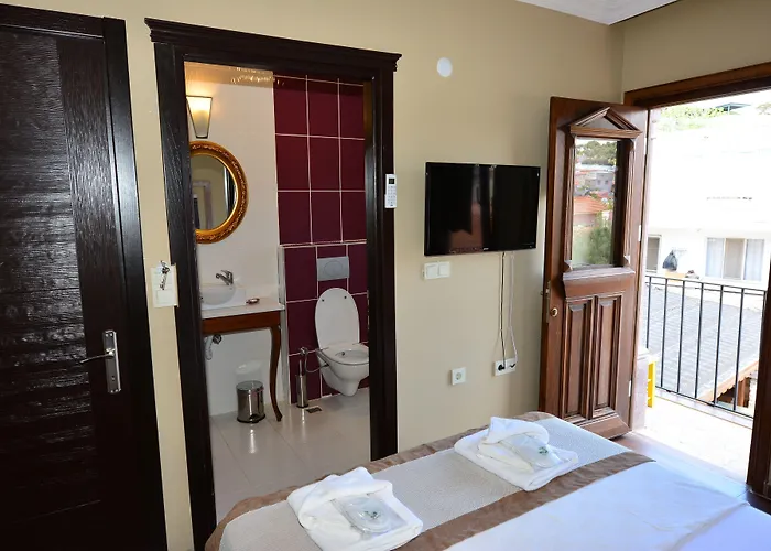 Hayriye Hanim Ege Отель 2*