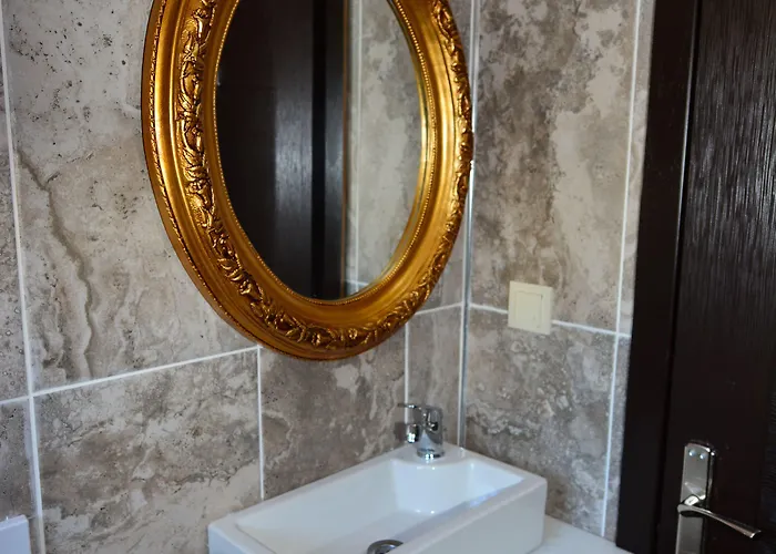 Hayriye Hanim Ege 2*