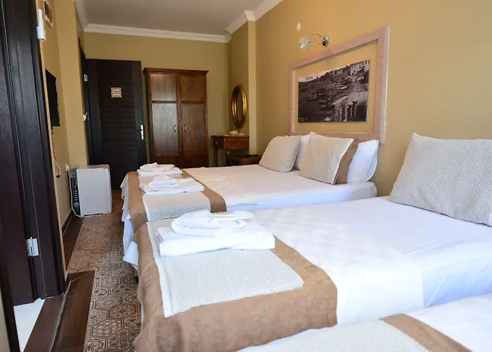 Отель Hayriye Hanim Ege Айвалык