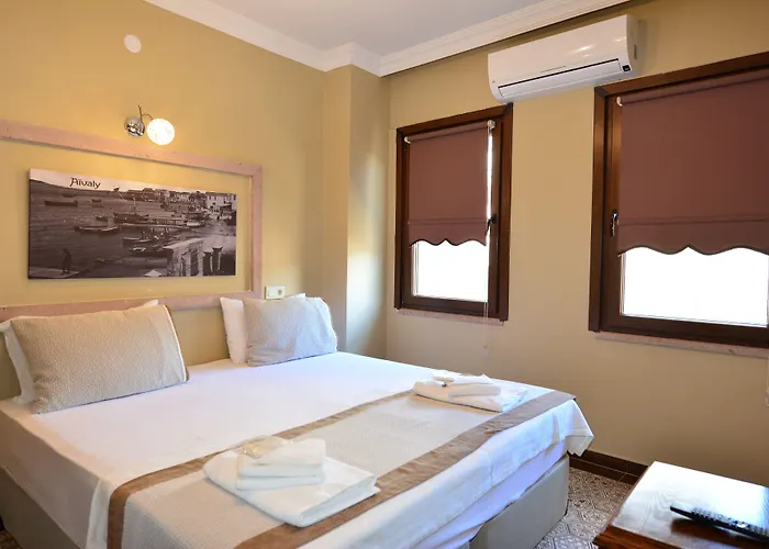 Hayriye Hanim Ege 2*