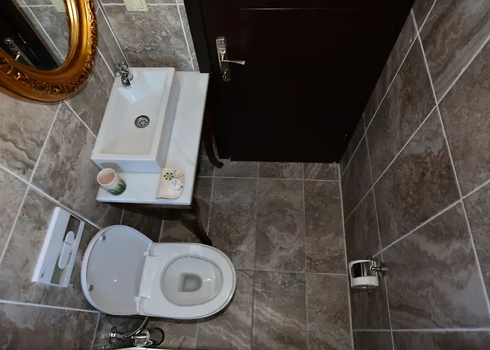 Hayriye Hanim Ege Отель