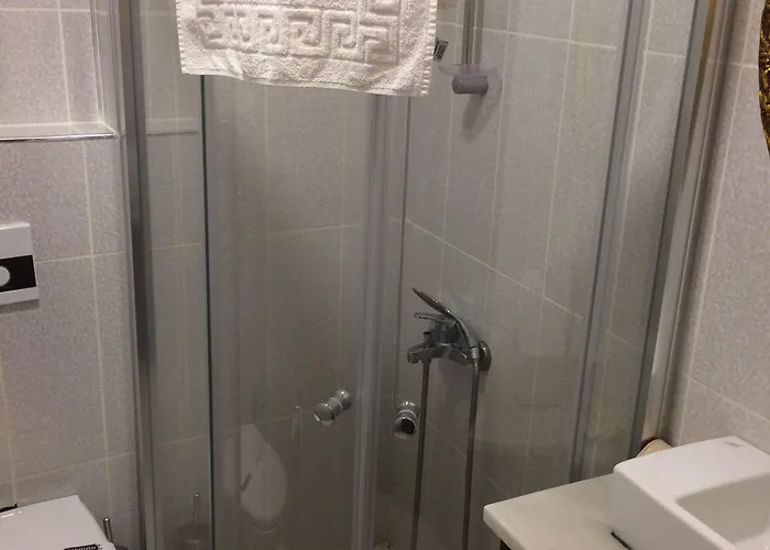 Hayriye Hanim Ege Айвалык