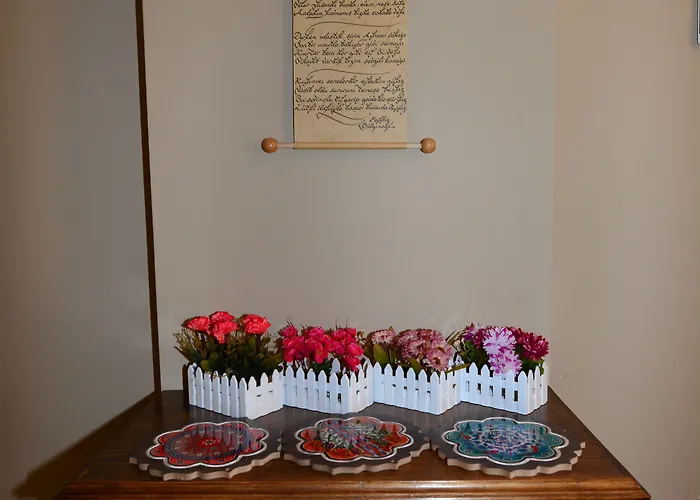 Hayriye Hanim Ege Айвалык