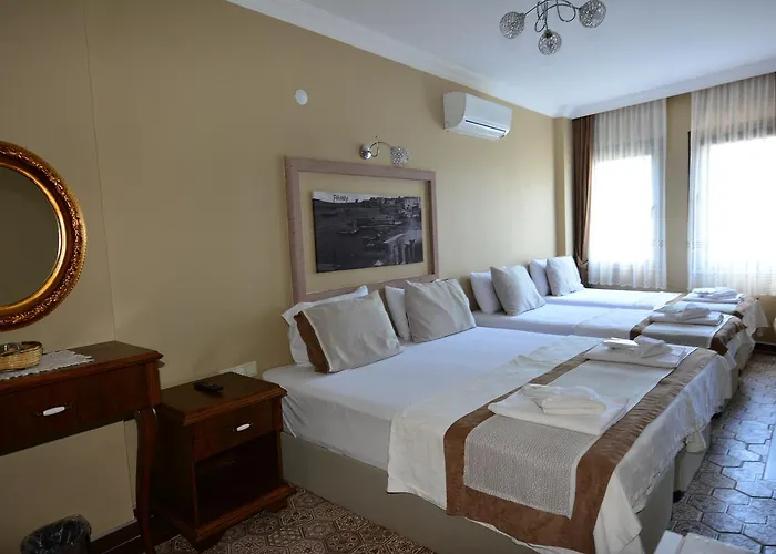 Отель Hayriye Hanim Ege 2*