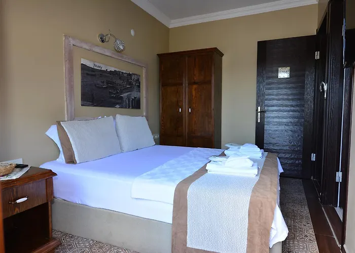 Hayriye Hanim Ege Айвалык