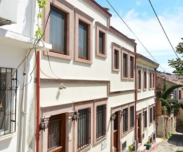 Hayriye Hanim Ege 2*