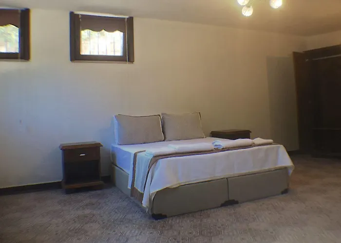 Отель Hayriye Hanim Ege 2*